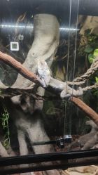 -Zoolung Zoolung动物主题公园(海信广场店)