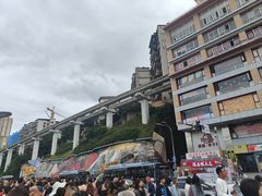 -李子坝梁山鸡(李子坝大鸡哥店)