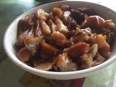 -鲤鱼塘农家山庄