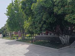 -洛阳古墓博物馆