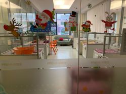 婴儿服务-弗蕾亚·和月月子调理院(东湖店)