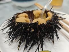 -日月昇渔家菜·海肠捞饭·大连海鲜(星海公园店)