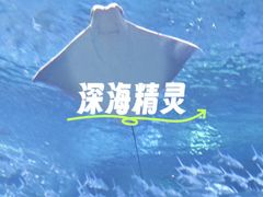 -海合安武汉极地海洋公园