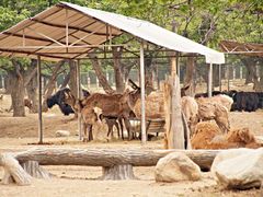 -西安秦岭野生动物园