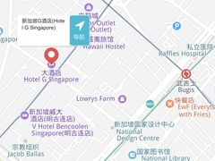 -新加坡武吉士lyf酒店