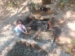 -广州白江湖森林公园