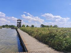 -盐城丹顶鹤湿地生态旅游区