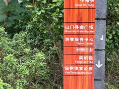 -梧桐山风景名胜区