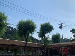大堂-龙福源密云水库灶台鱼
