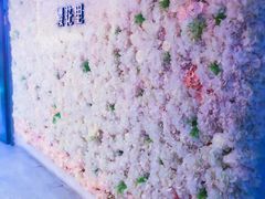 -樱花里音乐餐吧·牛扒椰子鸡(东圃店)