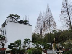 -龙华素斋(龙华路店)