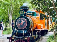 -合肥滨湖国家森林公园