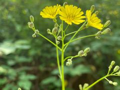 -宜昌富力皇冠假日酒店·咖啡1号西餐厅