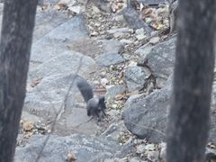 -北京密云天门山风景区