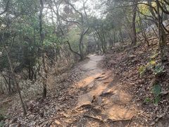 -虞山风景区