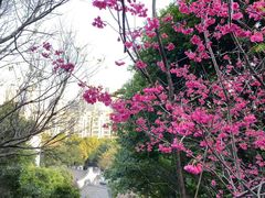 -乌山风景区