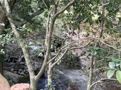 -宁波市保国寺古建筑博物馆