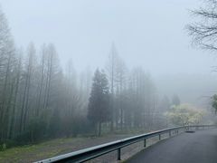 -山王坪喀斯特国家生态公园