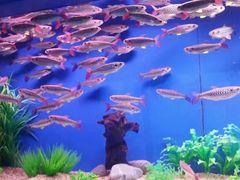 -水上乐园·欢乐世界