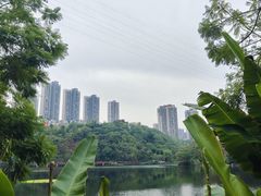 -重庆彩云湖湿地公园