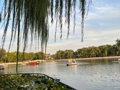 -东兴顺爆肚张