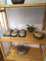 -匠凡皮肤管理工作室