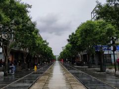 -陈记卤煮小肠