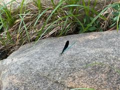 -武汉姚家山旅游景区