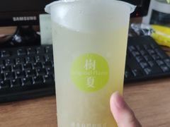 -树夏(建设路店)