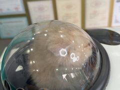 -博特宠物医院24h犬猫全科.骨科·异宠