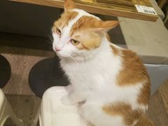 -小时光咖啡馆(开森度假森林店)