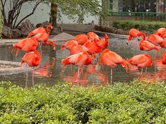 -石家庄市动物园