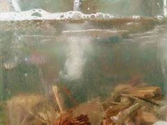 -浪琴湾尾角仔海鲜坊