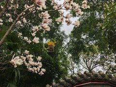 -望江楼公园