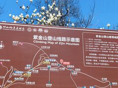 -紫金山山顶公园