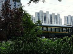 -向民炒鸡老店(火车站店)