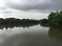 -天下玉苑