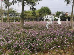 -广东花都香草世界旅游度假区