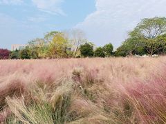 -艾溪湖湿地公园