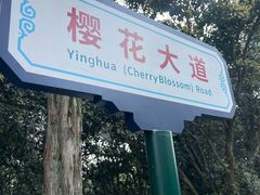 -武汉大学-樱园