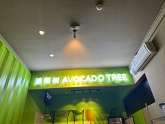 -油梨树AVOCADO TREE(顺义新国展店)
