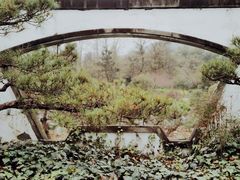 -杭州植物园