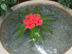 -三亚珠江南田温泉度假区