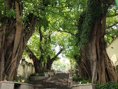 -龙环葡韵住宅式博物馆