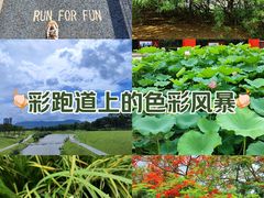 -松山湖风景区松湖烟雨