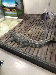 -未来动物城动物主题公园(大悦城店)
