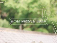 -竹子咖啡bamboo coffee