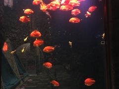 -弘安丽水温泉酒店