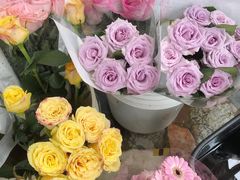 -秦美花卉(天朗·莱茵小城2期店)