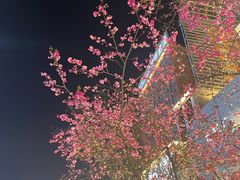 -南屏步行街